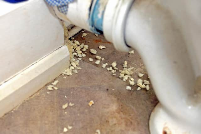 Expanding foam chewed by rats.