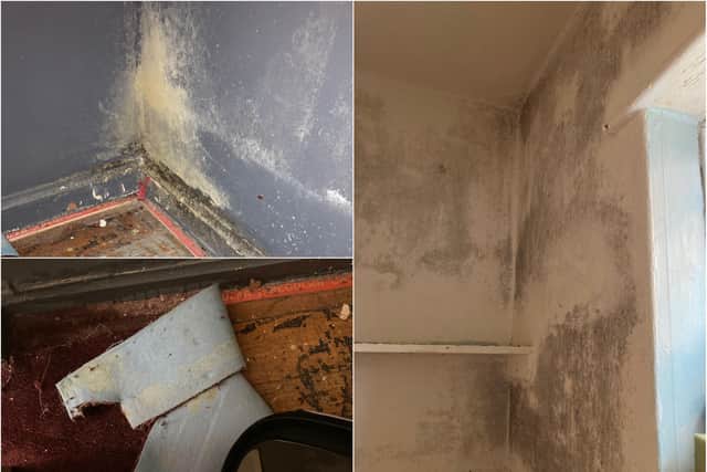 The family are fed up with worsening mould in the kitchen and bedroom of their Staveley home