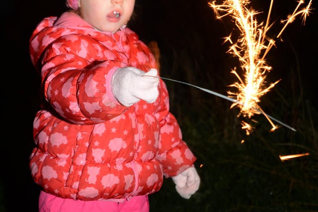 Fairfield Bonfire, three year old Maisie Bowers pictured in 2013