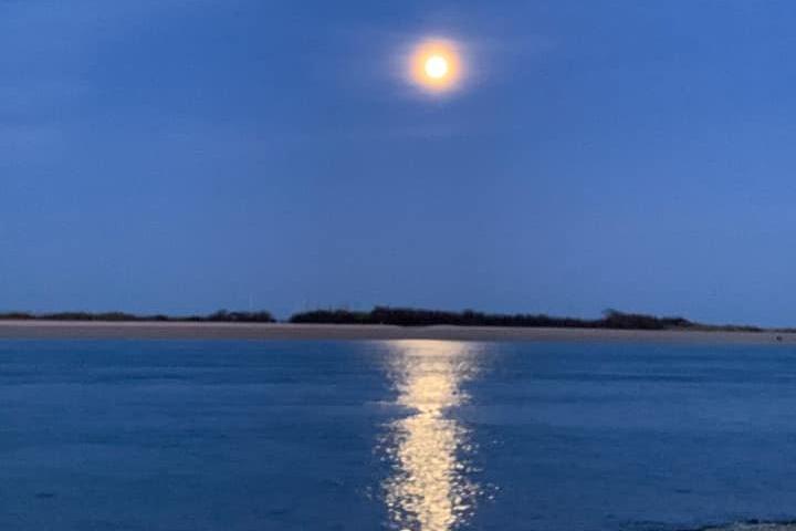 Portsmouth Super Pink Moon: Francesca Cameron sought out this lovely view of the lunar spectacle
