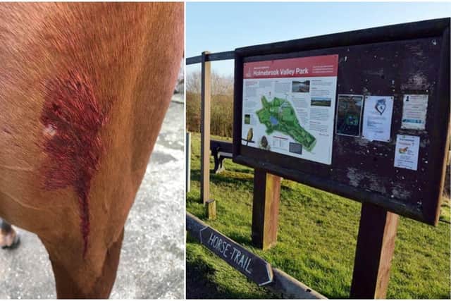 (Left) A picture of the poor animal's injuries (Right) The attacked happened in Holmebrook Valley Park.