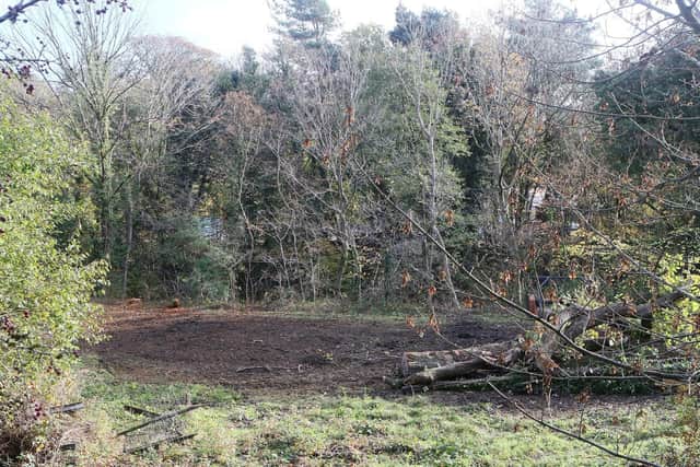 How part of the site looked following the work.