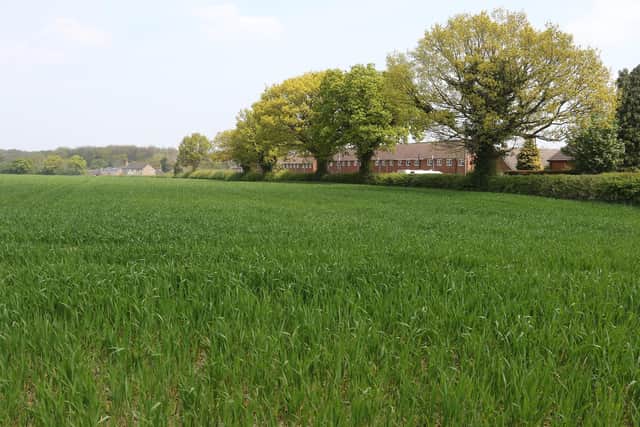 The fields at Holmgate 