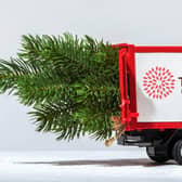 Recycle your old Christmas tree with Treetops