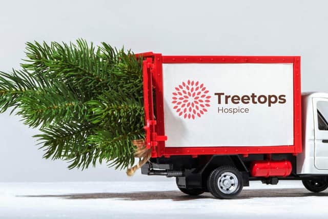 Recycle your old Christmas tree with Treetops
