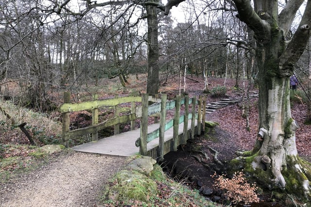 A delightful woodland scene on the Longshaw Estate is snapped in this fine photo by John Moss.