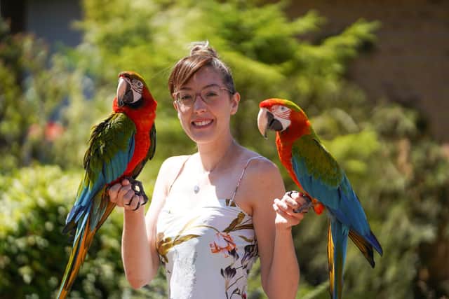 Chloe Brown and her parrots, Motley and Echo