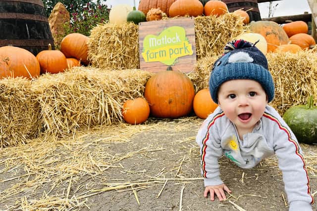 Pumpkin patch returns: Carve your Halloween dreams at Matlock Farm Park!