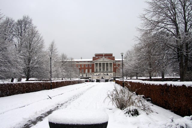 The snow made a picture perfect view in December 2010