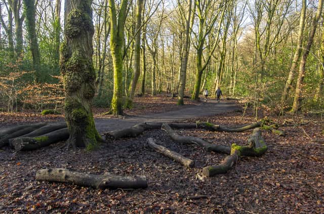 A pioneering project based in Yorkshire plans to connect more people with nature over the coming years