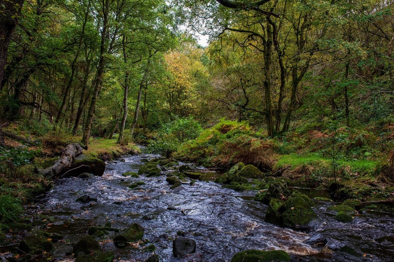 The picturesque Rivelin Valley has some of the best scenery Sheffield has to offer, and includes a nature trail for adults and youngsters to enjoy