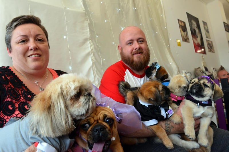 A canine wedding at the Pooches Cafe in 2018 with pooches Buddy and Lilly and owners Helen and  Peter Stoker in the picture.