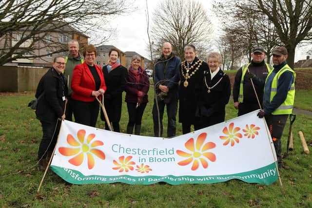 Local school children and tree wardens were joined by representatives from Chesterfield Borough Council to plant 48 oak trees on Darley Close at Staveley, as part of the Queen’s Green Canopy Initiative.