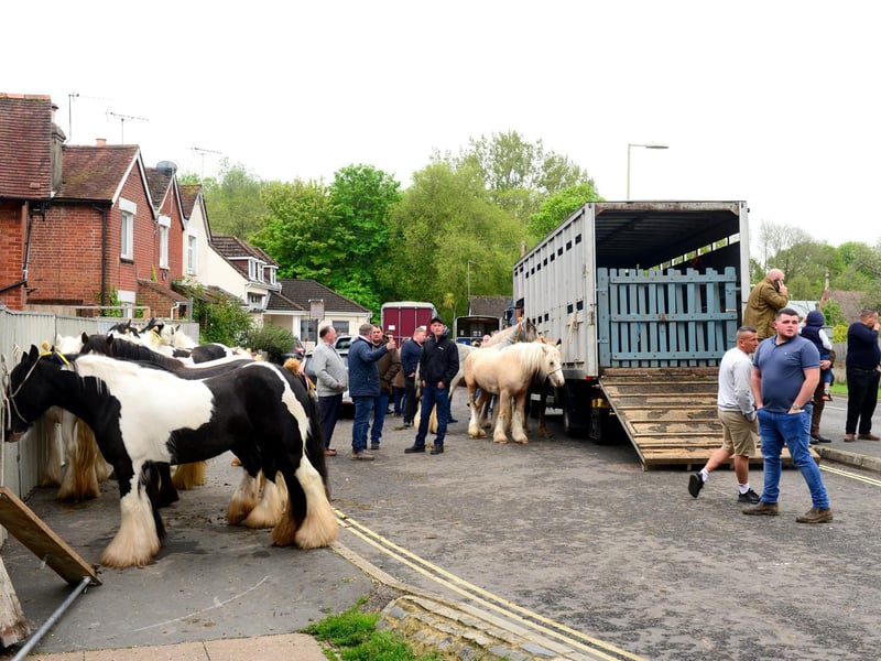 A large crowd turned up for the Wickham Horse Fair today despite it being cancelled. Picture: Roger Arbon/Solent News & Photo Agency