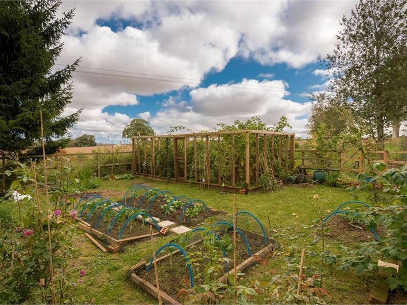 Allotments.