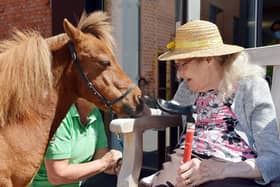 Ponies visit residents at Ada Belfield Centre in Belper. Resident Sheila with pony Mr P.