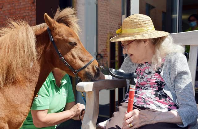 Ponies visit residents at Ada Belfield Centre in Belper. Resident Sheila with pony Mr P.