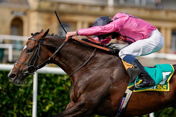 The first horse racing track in Doncaster was established in 1614. The Doncaster Cup was run for the first time in 1766, making it the oldest regulated horse race in the world.