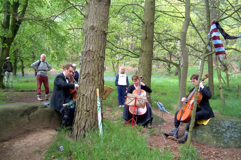 Cellists are, admittedly, an unusual sight at Padley Gorge! Jeremy Dawson, left, Clare Wallace and James Rees are performing here