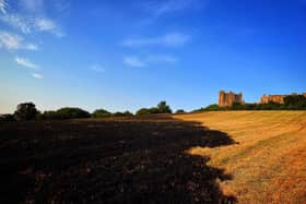 A field was left charred by a deliberate blaze at Bolsover Castle on Monday