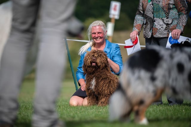 A visitor and her four-legged friend lap up the sunshine at the first Bakewell Country Festival.