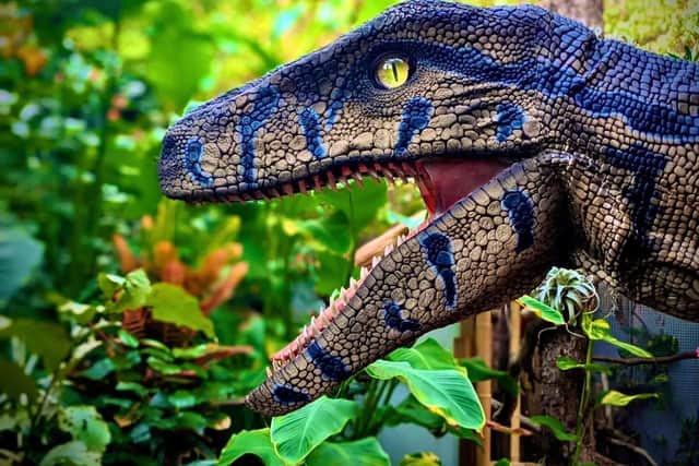 Realistic-looking animatronic model dinosaurs are heading for Alfreton Leisure Centre.