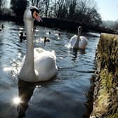 Bakewell was ranked as the best place to live in Derbyshire - being recommended by Muddy Stilettos for its picturesque location and range of great pubs, cafes and restaurants.
