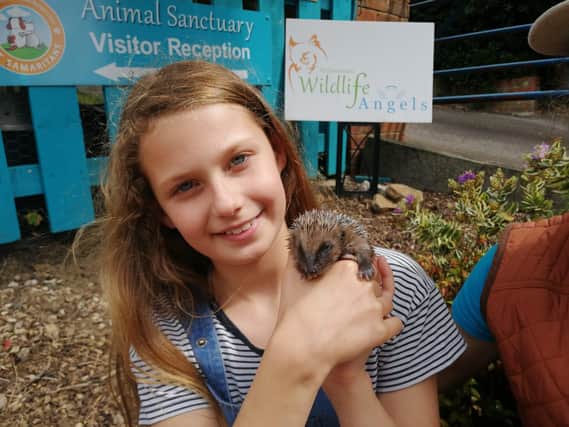 Erin Revell during her visit to Pet Samaritans Animal Sanctuary to see how her fundraising money will help