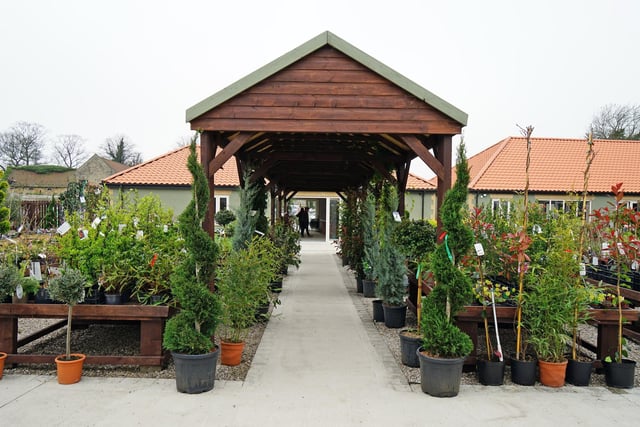 Glapwell Nurseries has a 4.6/5 rating based on 960 Google reviews.