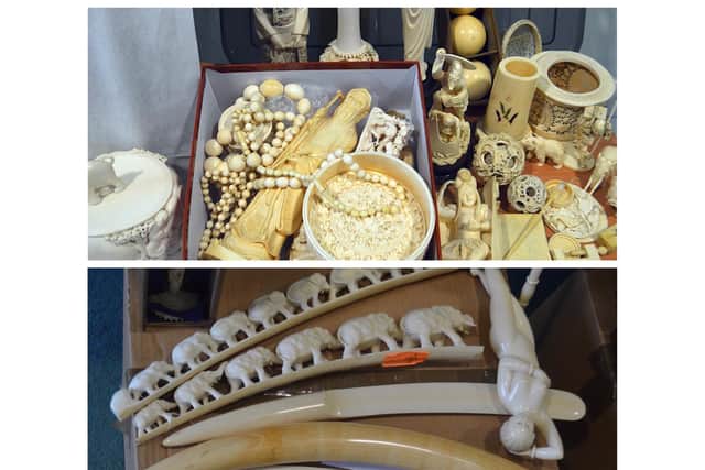 These are some of the ivory products found at the defendant’s address.