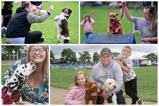 A fun dog show in Eastwood Park, Hasland, took place on Saturday, aiming to provide a memorable experience for participants and spectators while boosting the funds of animal welfare charity Chesterfield and North Derbyshire RSPCA.