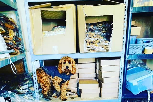 The Cockapoo pictured helping to pack orders from Ben's parents garage.