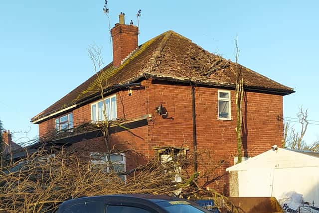 The tree fell from across the road and smashed into the couple's home in Glebe Avenue, Pinxton.