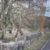 Derbyshire County Council had originally put a narrow strip of grassland along the west side of Brooklands Avenue, in Wirksworth, near Matlock, up for sale at an auction scheduled to take place on June 29.