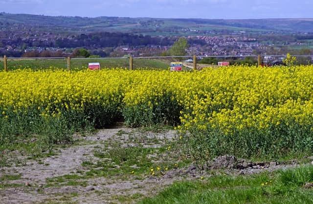 Developments across Chesterfield have proved controversial and many called for more green spaces. Jackie Woodhead said: "Fields and open spaces no more buildings."