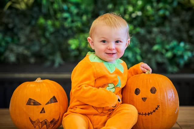 Take your child along to the Little Scare-lings event in Dobbies Chesterfield  at Barlborough Links from October 26-29, 2023 (photo: Fraser Band/UNP)