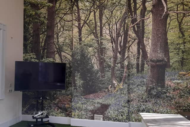 The multi-purpose space has been decorated with a huge photograph of the trust's Lea Wood nature reserve.