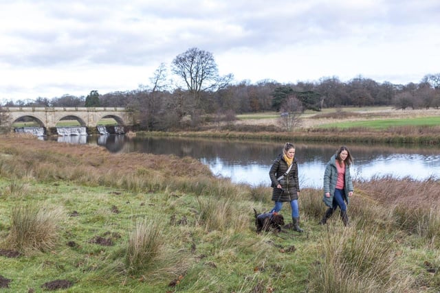 Step out into 800 acres of scenic parkland, with miles of walking trails to explore at Kedleston. Crisp, cold days and early sunsets - the winter landscape can be an inspiring place to step out into. Embark on the Lakeside Walk, enjoying far-reaching countryside views, discover the Fishing Pavilion and Robert Adam bridge and spot a whole host of waterfowl by the lake edge, including geese, swans, oyster catchers, herons and coots. 
Dogs on leads are welcome in the parkland and gardens. 
www.nationaltrust.org.uk/visit/peak-district-derbyshire/kedleston-hall
