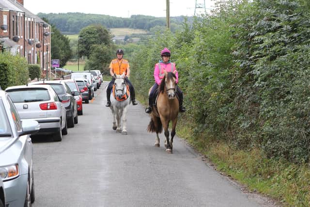 The Horse Society is among the organisations objecting, describing Dark Lane as unsuitable to be the access for a new housing estate.
