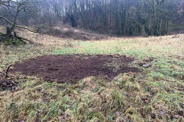 Pictures from Cressbrook Dale this week show how the land looked at PDNPA officers had visited. (Photo: Contributed)