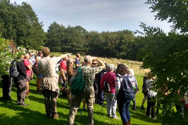 Check out the sights on guided walks during the Autumn Footprints festival.