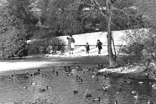 Feeding the ducks on  a winter's day in Queen's Park in January 1970.