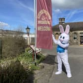 Meet the Easter Bunny and enjoy a heritage train ride through Derbyshire countryside.
