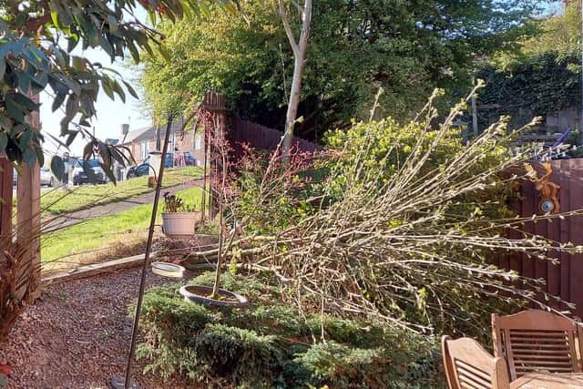 Damage to the garden after the crash on Hartshay Hill, Ripley.