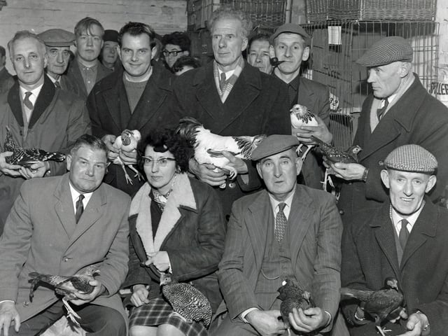 Heanor fun and feathers show, November 1966.