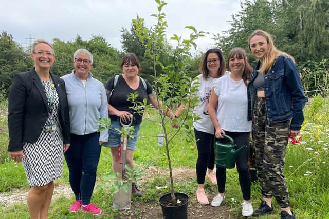 Sanctuary Rituals, based in Staveley, have been looking into ways to contribute to the environment in the area and have created a Tree Scheme. Netherthorpe School has received the first tree as part of the scheme.