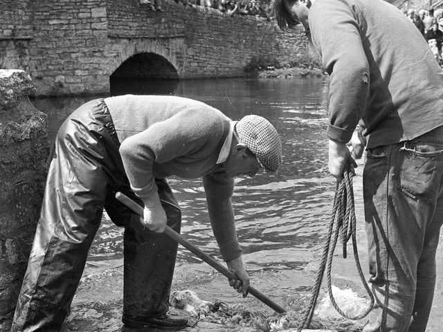 1975, the sheep washing ceremony at Ashford