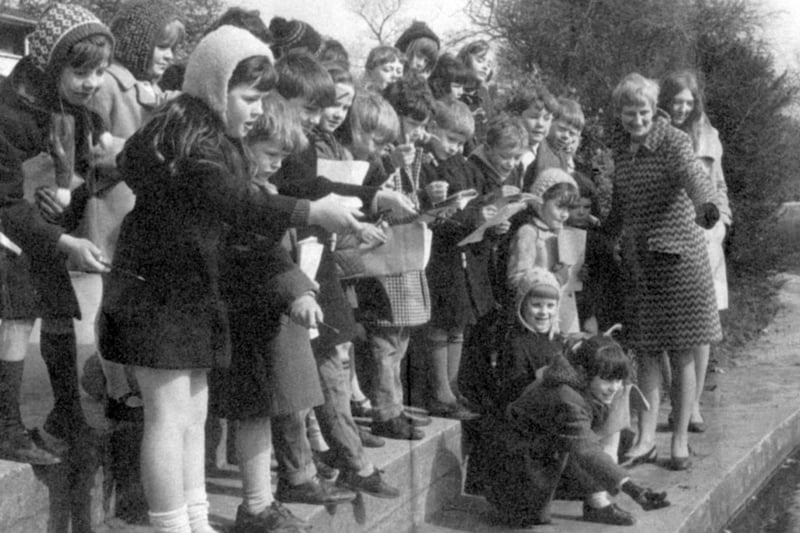 A mystery Hartlepool photo from the 1960s which seems to show children feeding the ducks. Can anyone recognise the location and the youngsters pictured?