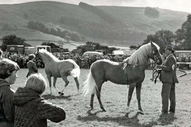 Cyril Eckersley parades his champion palamino pony at Hope Show in 1968