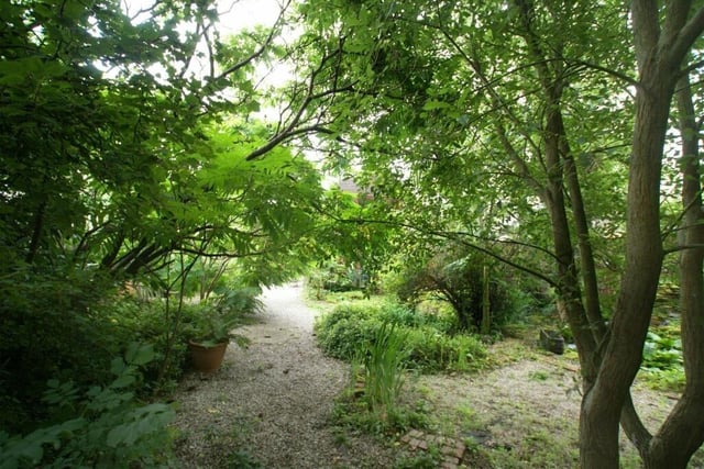 There are two woodland garden areas at the rear of the house.